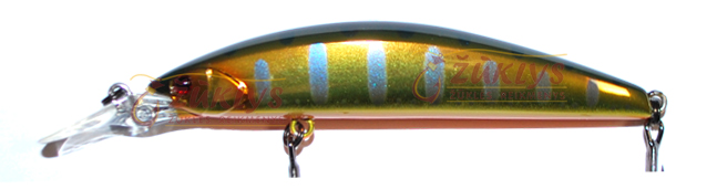 HAKU GOLD TROUT